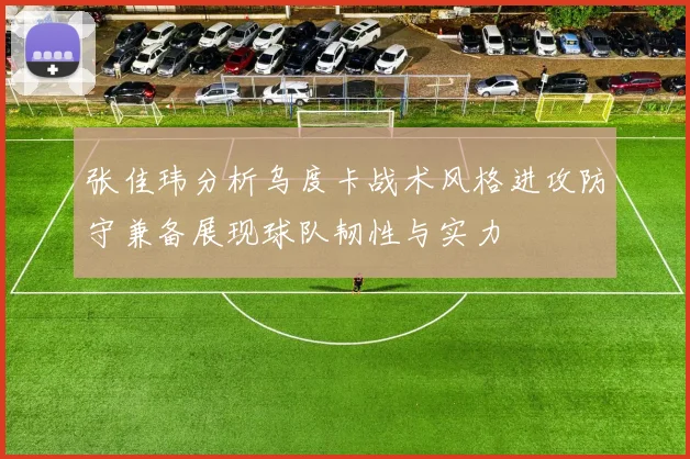 张佳玮分析乌度卡战术风格进攻防守兼备展现球队韧性与实力