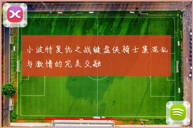 小波特复仇之战键盘侠骑士集混乱与激情的完美交融