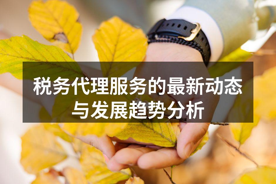 税务代理服务的最新动态与发展趋势分析