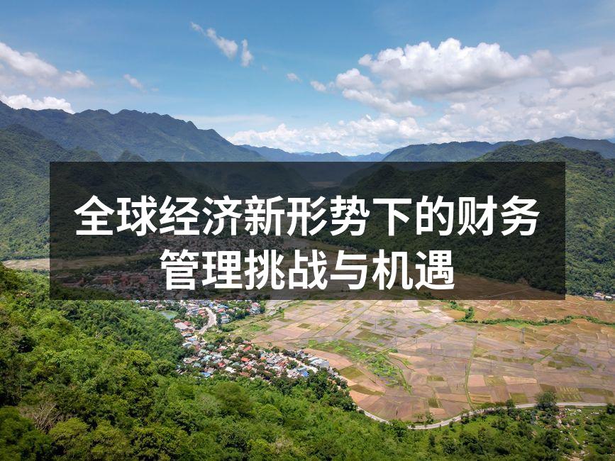全球经济新形势下的财务管理挑战与机遇