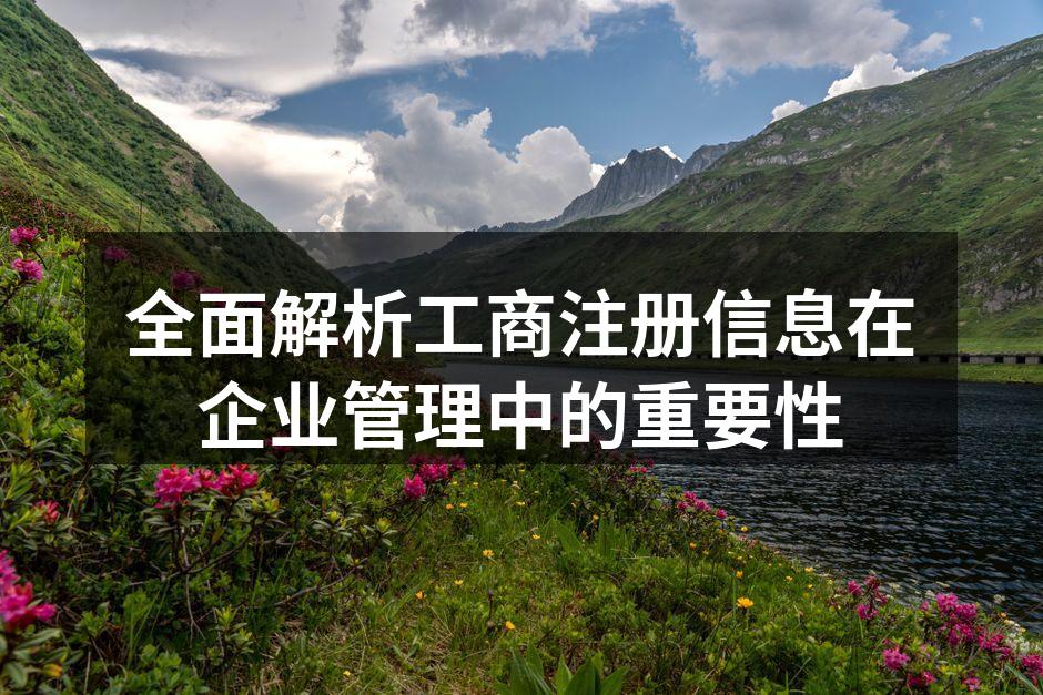 全面解析工商注册信息在企业管理中的重要性