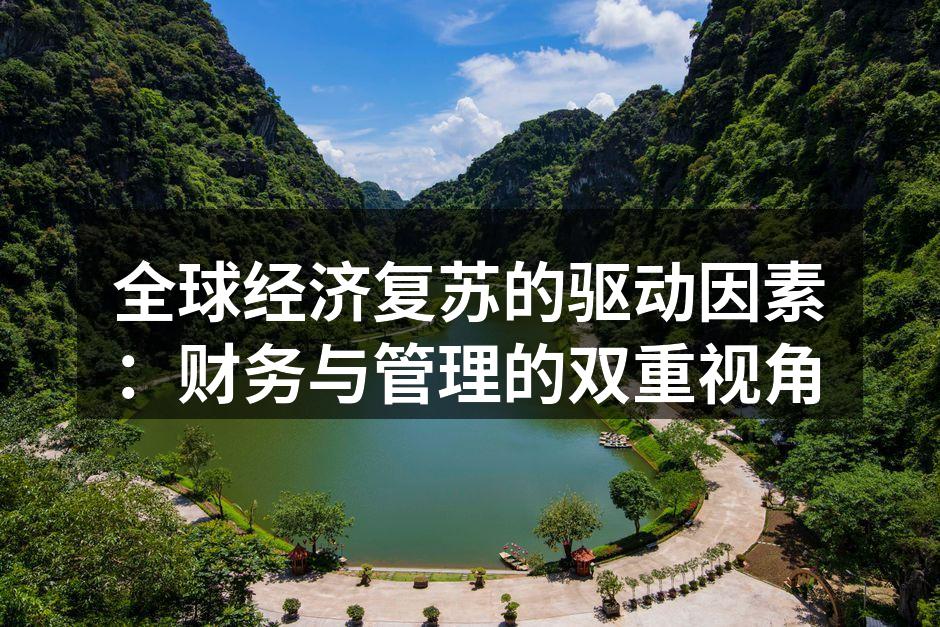 全球经济复苏的驱动因素：财务与管理的双重视角
