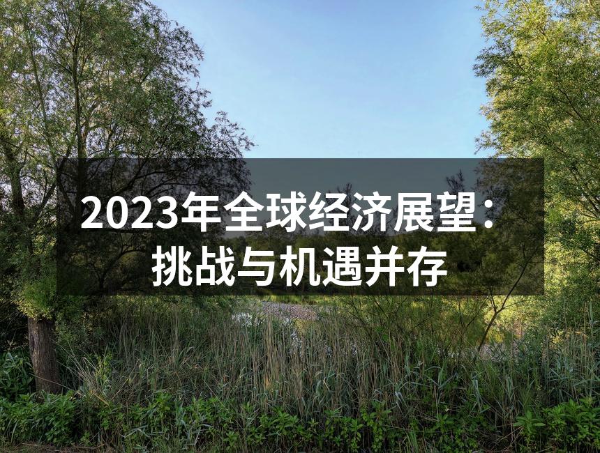 2023年全球经济展望：挑战与机遇并存